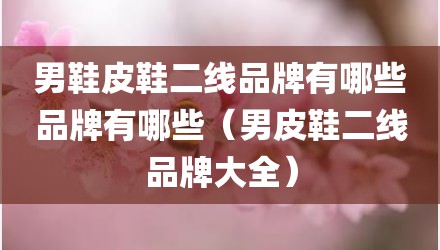 男鞋皮鞋二线品牌有哪些品牌有哪些（男皮鞋二线品牌大全）