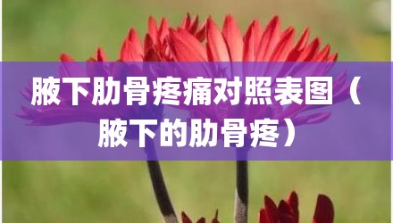 腋下肋骨疼痛对照表图（腋下的肋骨疼）