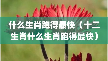 什么生肖跑得最快（十二生肖什么生肖跑得最快）