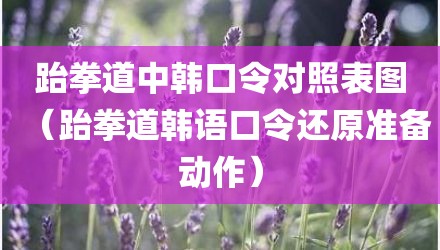 跆拳道中韩口令对照表图（跆拳道韩语口令还原准备动作）