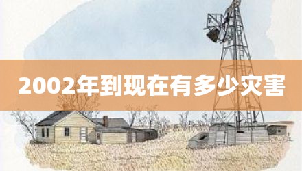 2002年到现在有多少灾害