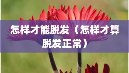 怎样才能脱发（怎样才算脱发正常）