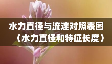 水力直径与流速对照表图（水力直径和特征长度）