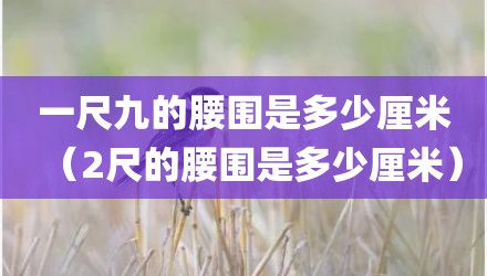 一尺九的腰围是多少厘米（2尺的腰围是多少厘米）