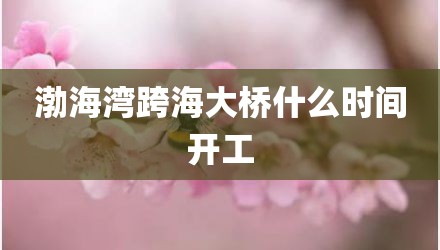渤海湾跨海大桥什么时间开工