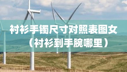 衬衫手镯尺寸对照表图女（衬衫到手腕哪里）