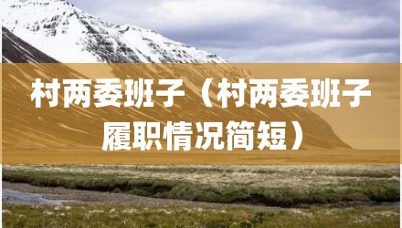 村两委班子（村两委班子履职情况简短）