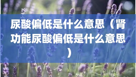 尿酸偏低是什么意思（肾功能尿酸偏低是什么意思）