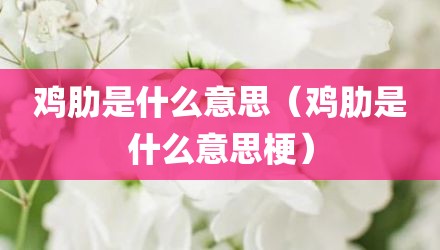 鸡肋是什么意思（鸡肋是什么意思梗）