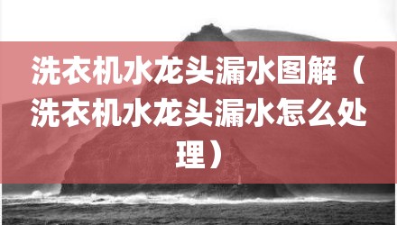 洗衣机水龙头漏水图解（洗衣机水龙头漏水怎么处理）