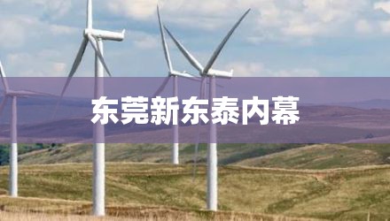 东莞新东泰内幕