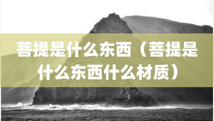 菩提是什么东西（菩提是什么东西什么材质）