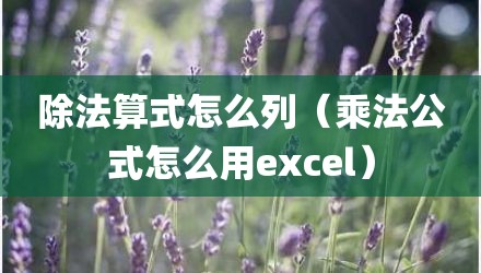 除法算式怎么列（乘法公式怎么用excel）