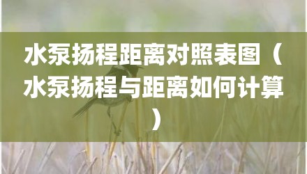 水泵扬程距离对照表图（水泵扬程与距离如何计算）