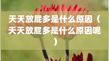 天天放屁多是什么原因（天天放屁多是什么原因呢）