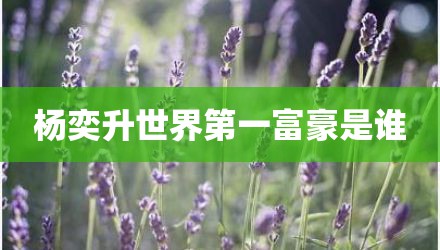 杨奕升世界第一富豪是谁