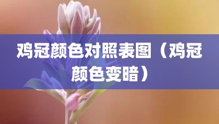 鸡冠颜色对照表图（鸡冠颜色变暗）