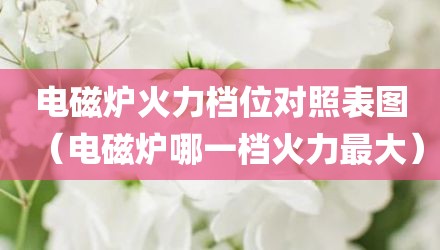 电磁炉火力档位对照表图（电磁炉哪一档火力最大）
