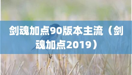 剑魂加点90版本主流（剑魂加点2019）