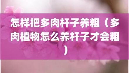 怎样把多肉杆子养粗(多肉植物怎么养杆子才会粗)