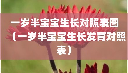 一岁半宝宝生长对照表图（一岁半宝宝生长发育对照表）