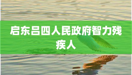 启东吕四人民政府智力残疾人