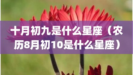 十月初九是什么星座（农历8月初10是什么星座）