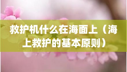 救护机什么在海面上（海上救护的基本原则）