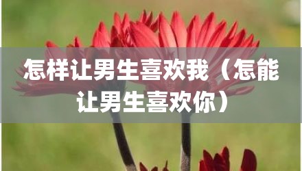 怎样让男生喜欢我(怎能让男生喜欢你)