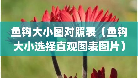 鱼钩大小图对照表(鱼钩大小选择直观图表图片)