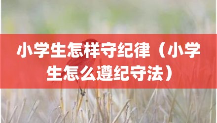 小学生怎样守纪律（小学生怎么遵纪守法）