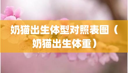 奶猫出生体型对照表图（奶猫出生体重）