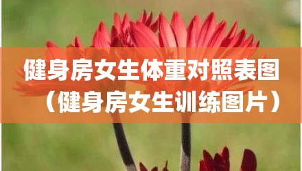 健身房女生体重对照表图（健身房女生训练图片）