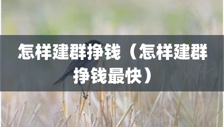怎样建群挣钱（怎样建群挣钱最快）
