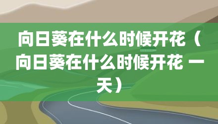 向日葵在什么时候开花（向日葵在什么时候开花 一天）