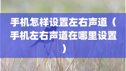 手机怎样设置左右声道(手机左右声道在哪里设置)