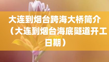 大连到烟台跨海大桥简介（大连到烟台海底隧道开工日期）