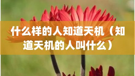 什么样的人知道天机（知道天机的人叫什么）