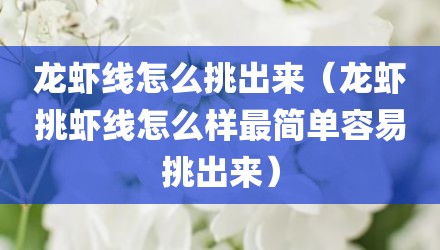 龙虾线怎么挑出来（龙虾挑虾线怎么样最简单容易挑出来）