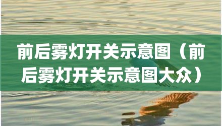 前后雾灯开关示意图（前后雾灯开关示意图大众）