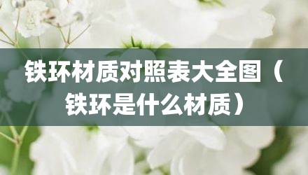 铁环材质对照表大全图（铁环是什么材质）