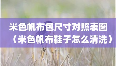 米色帆布包尺寸对照表图（米色帆布鞋子怎么清洗）