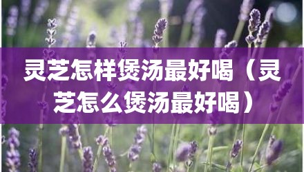灵芝怎样煲汤最好喝(灵芝怎么煲汤最好喝)