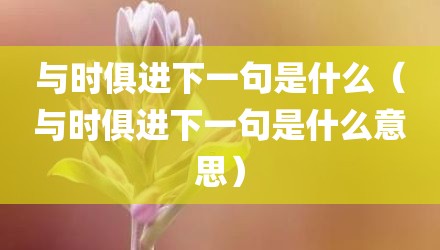 与时俱进下一句是什么（与时俱进下一句是什么意思）