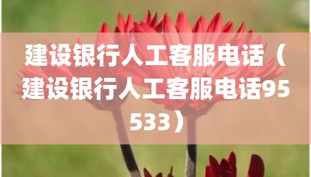 建设银行人工客服电话（建设银行人工客服电话95533）