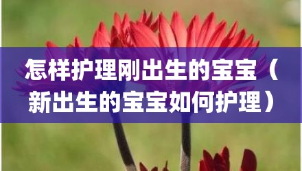 怎样护理刚出生的宝宝（新出生的宝宝如何护理）