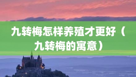 九转梅怎样养殖才更好（九转梅的寓意）