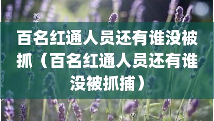 百名红通人员还有谁没被抓（百名红通人员还有谁没被抓捕）