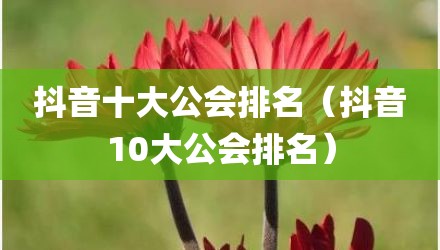 抖音十大公会排名(抖音10大公会排名)