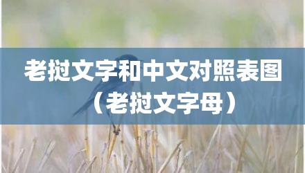 老挝文字和中文对照表图（老挝文字母）